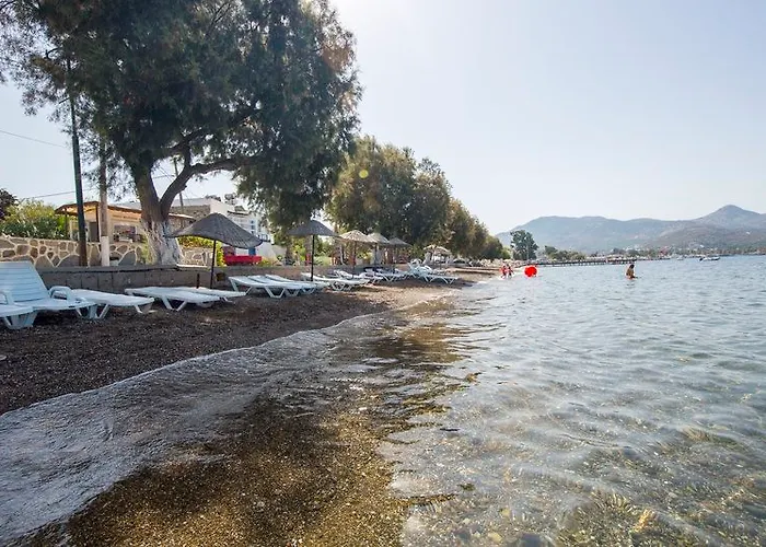 Family Belvedere ボドルム